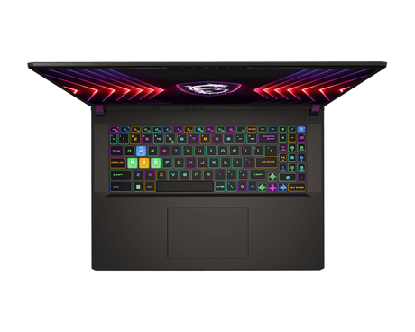 Vector 17 HX A14VHG-1007PL | Gaming Laptop