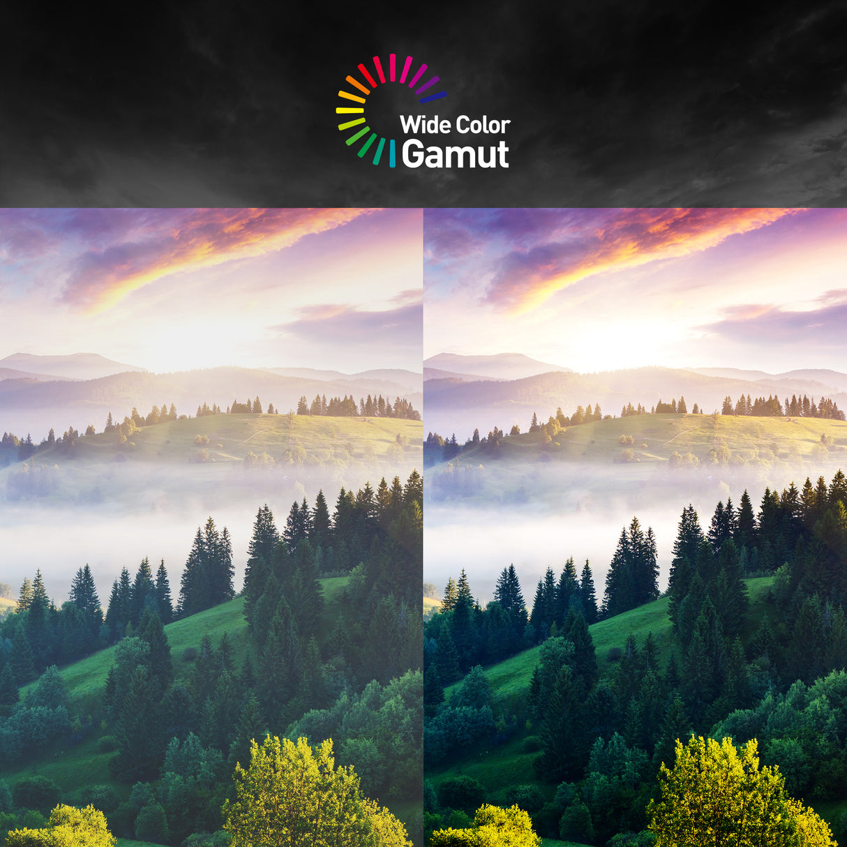 G32C4X | MSI Monitory Gamingowe