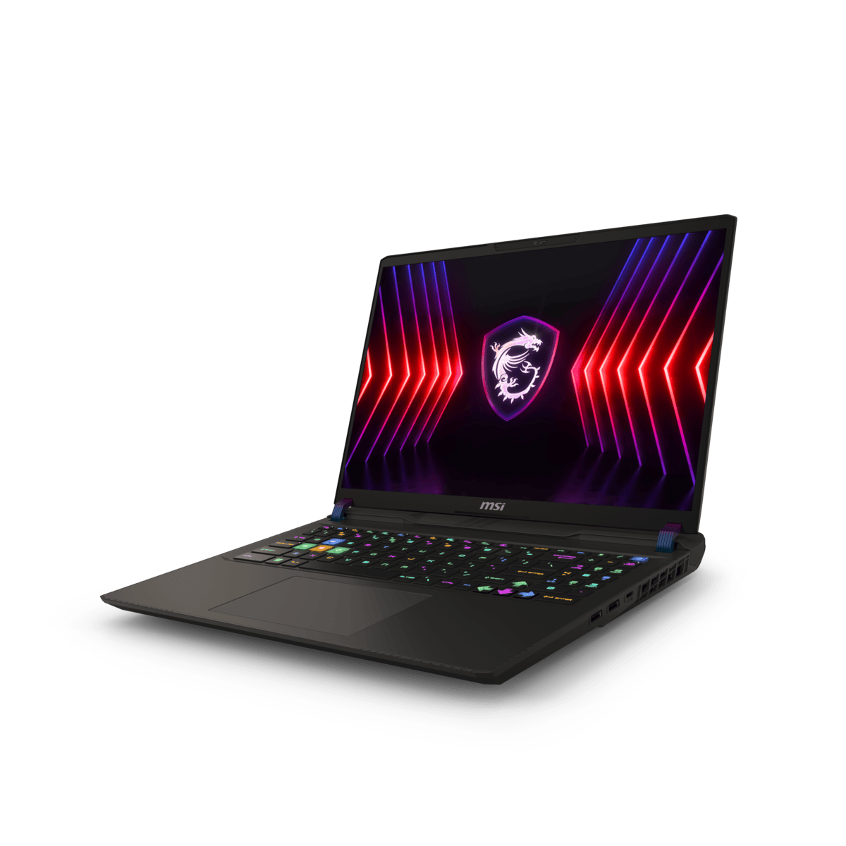 Vector 16 HX A14VIG-830PL | Gaming Laptop