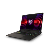 Vector 16 HX A14VIG-830PL | Gaming Laptop
