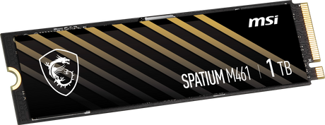 SPATIUM M461 PCIe 4.0 NVMe M.2 2TB