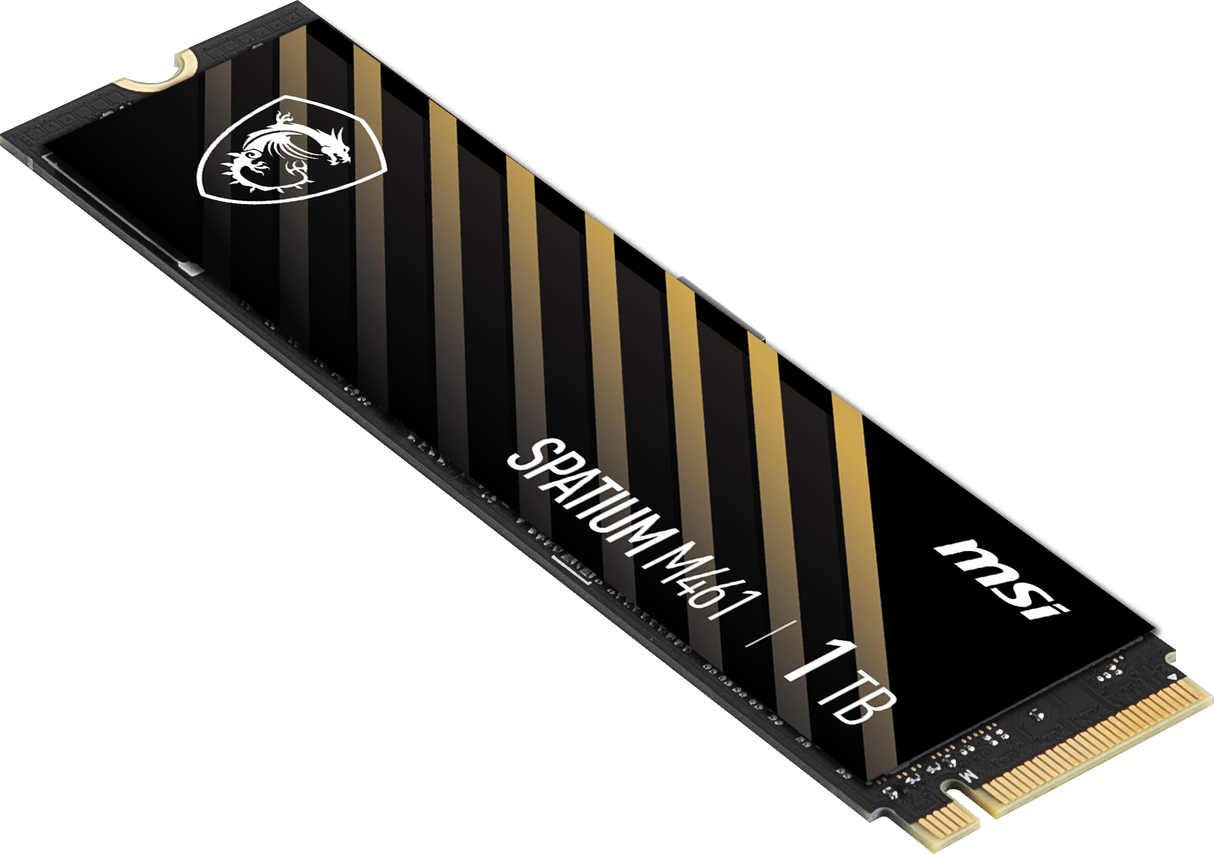 SPATIUM M461 PCIe 4.0 NVMe M.2 1TB