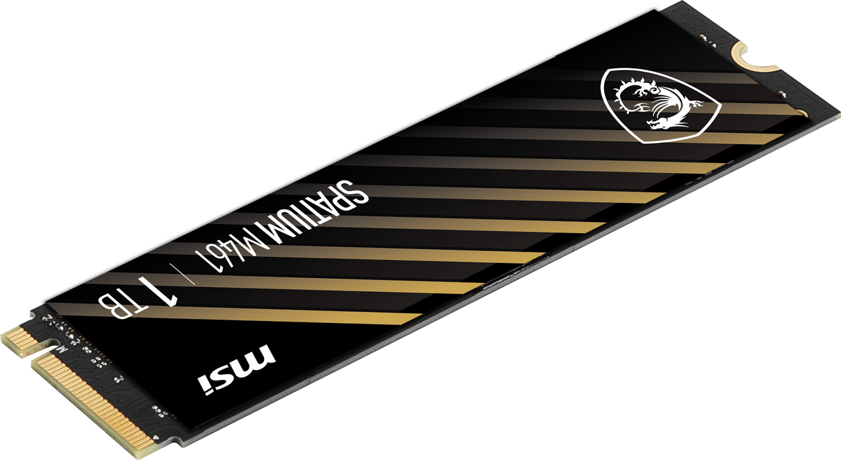SPATIUM M461 PCIe 4.0 NVMe M.2 1TB