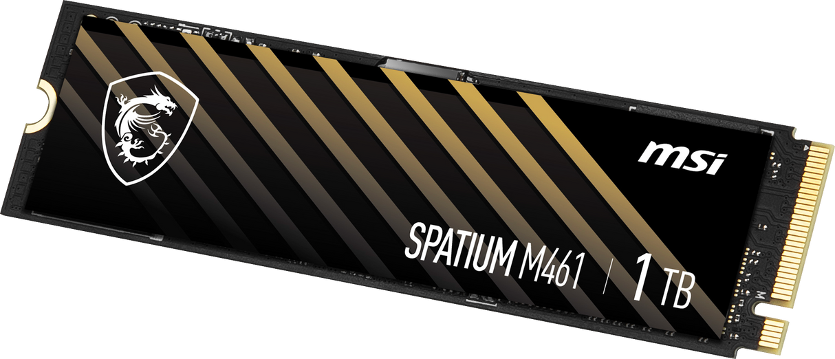 SPATIUM M461 PCIe 4.0 NVMe M.2 1TB