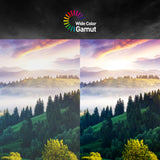 G2412 | MSI Monitory Gamingowe