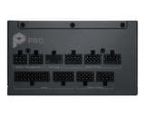 PRO A1000PL PCIE5