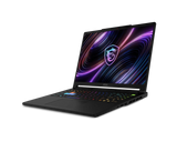 Raider 16 HX B2WI-228PL | Gaming Laptop